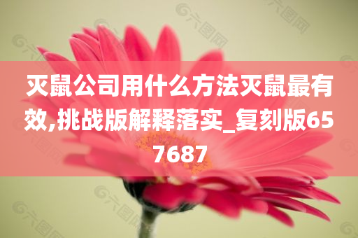 灭鼠公司用什么方法灭鼠最有效,挑战版解释落实_复刻版657687