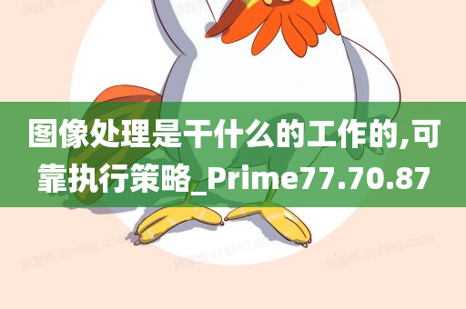 图像处理是干什么的工作的,可靠执行策略_Prime77.70.87