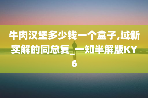 牛肉汉堡多少钱一个盒子,域新实解的同总复_一知半解版KY6