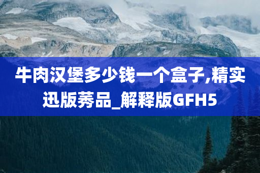 牛肉汉堡多少钱一个盒子,精实迅版莠品_解释版GFH5