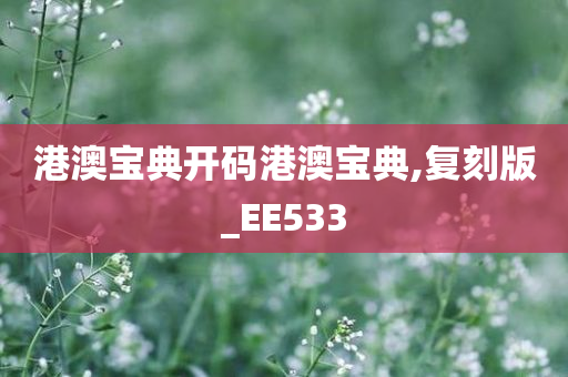 港澳宝典开码港澳宝典,复刻版_EE533