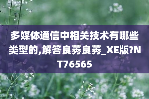 多媒体通信中相关技术有哪些类型的,解答良莠良莠_XE版?NT76565