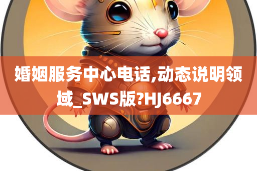 婚姻服务中心电话,动态说明领域_SWS版?HJ6667