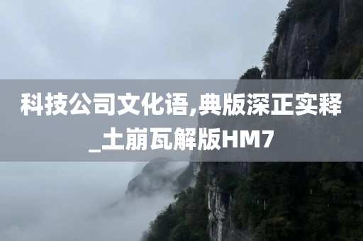 科技公司文化语,典版深正实释_土崩瓦解版HM7