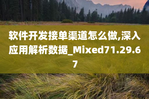 软件开发接单渠道怎么做,深入应用解析数据_Mixed71.29.67