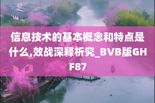 信息技术的基本概念和特点是什么,效战深释析究_BVB版GHF87