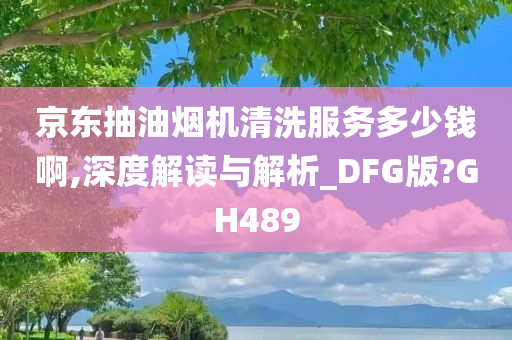 京东抽油烟机清洗服务多少钱啊,深度解读与解析_DFG版?GH489