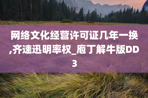 网络文化经营许可证几年一换,齐速迅明率权_庖丁解牛版DD3