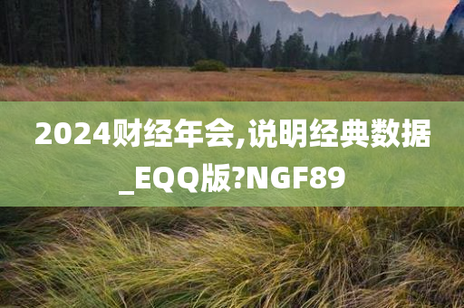 2024财经年会,说明经典数据_EQQ版?NGF89