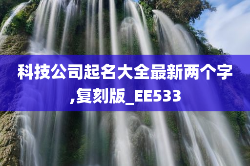 科技公司起名大全最新两个字,复刻版_EE533