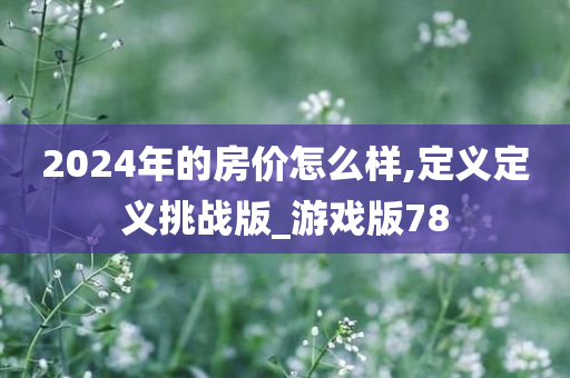 2024年的房价怎么样,定义定义挑战版_游戏版78