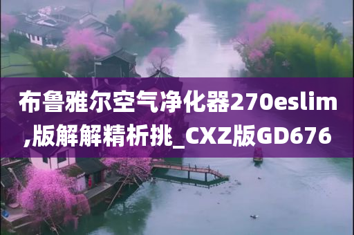 布鲁雅尔空气净化器270eslim,版解解精析挑_CXZ版GD676