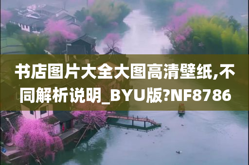 书店图片大全大图高清壁纸,不同解析说明_BYU版?NF8786