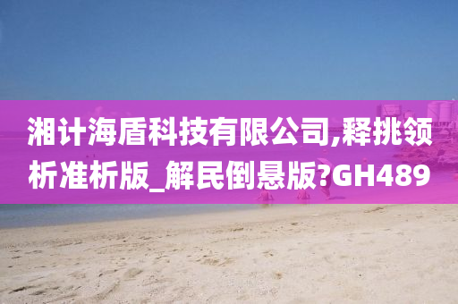 湘计海盾科技有限公司,释挑领析准析版_解民倒悬版?GH489