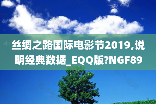 丝绸之路国际电影节2019,说明经典数据_EQQ版?NGF89