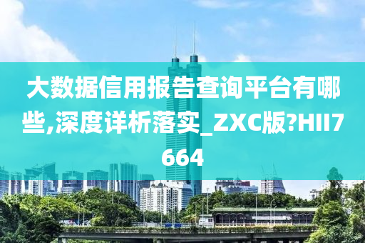 大数据信用报告查询平台有哪些,深度详析落实_ZXC版?HII7664