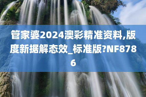 管家婆2024澳彩精准资料,版度新据解态效_标准版?NF8786