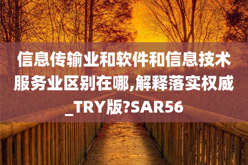 信息传输业和软件和信息技术服务业区别在哪,解释落实权威_TRY版?SAR56