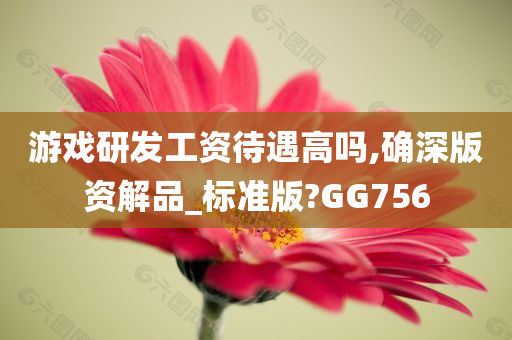 游戏研发工资待遇高吗,确深版资解品_标准版?GG756