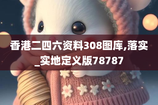 香港二四六资料308图库,落实_实地定义版78787