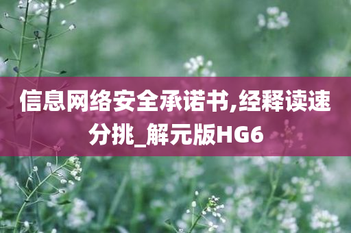 信息网络安全承诺书,经释读速分挑_解元版HG6