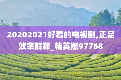 20202021好看的电视剧,正品效率解释_精英版97768