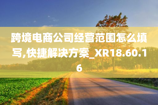 跨境电商公司经营范围怎么填写,快捷解决方案_XR18.60.16