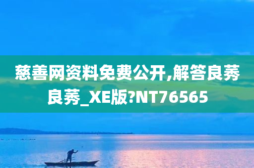 慈善网资料免费公开,解答良莠良莠_XE版?NT76565