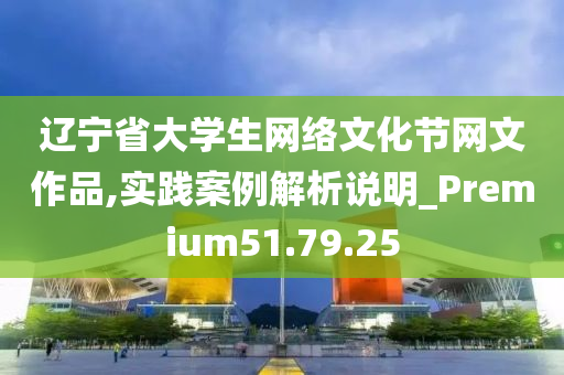 辽宁省大学生网络文化节网文作品,实践案例解析说明_Premium51.79.25