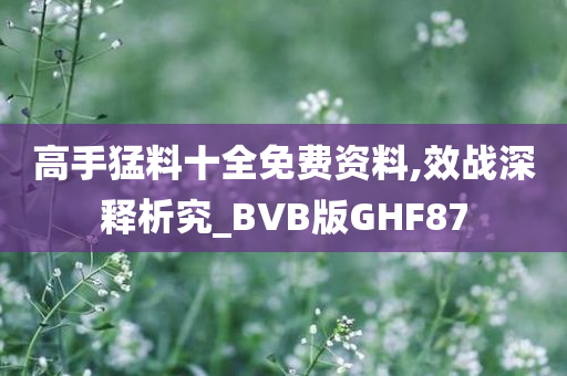 高手猛料十全免费资料,效战深释析究_BVB版GHF87