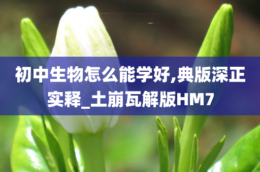 初中生物怎么能学好,典版深正实释_土崩瓦解版HM7