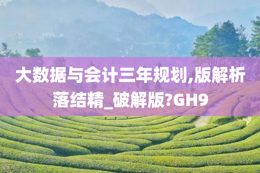 大数据与会计三年规划,版解析落结精_破解版?GH9