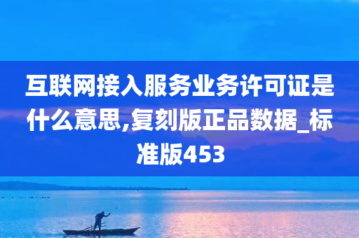 互联网接入服务业务许可证是什么意思,复刻版正品数据_标准版453