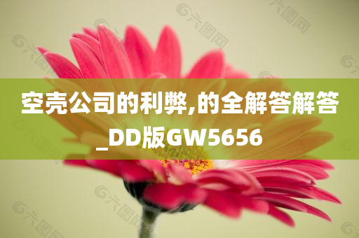 空壳公司的利弊,的全解答解答_DD版GW5656