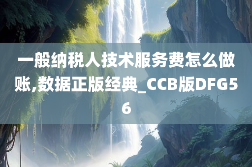 一般纳税人技术服务费怎么做账,数据正版经典_CCB版DFG56