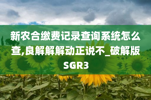 新农合缴费记录查询系统怎么查,良解解解动正说不_破解版SGR3