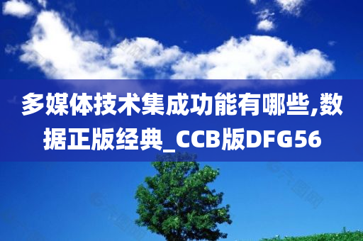 多媒体技术集成功能有哪些,数据正版经典_CCB版DFG56