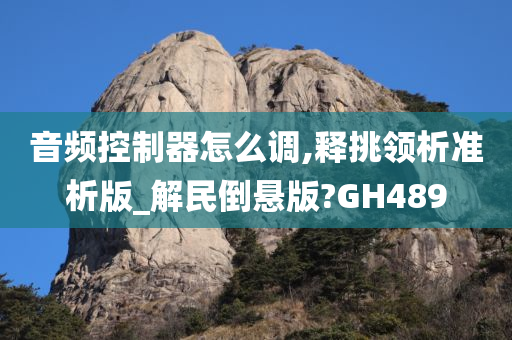 音频控制器怎么调,释挑领析准析版_解民倒悬版?GH489