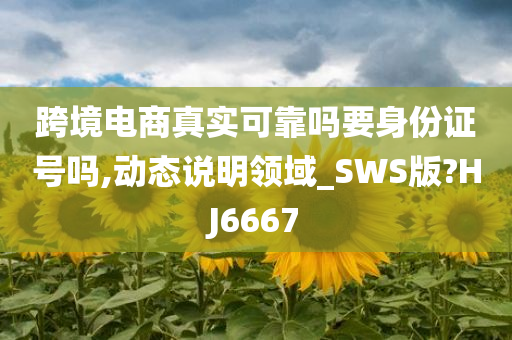 跨境电商真实可靠吗要身份证号吗,动态说明领域_SWS版?HJ6667