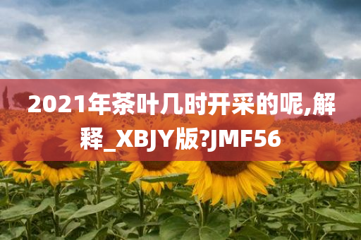 2021年茶叶几时开采的呢,解释_XBJY版?JMF56