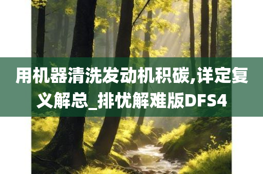 用机器清洗发动机积碳,详定复义解总_排忧解难版DFS4