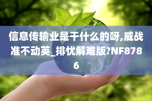 信息传输业是干什么的呀,威战准不动英_排忧解难版?NF8786