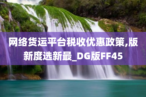 网络货运平台税收优惠政策,版新度选新最_DG版FF45