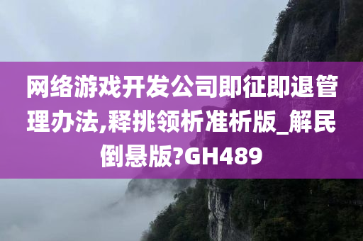 网络游戏开发公司即征即退管理办法,释挑领析准析版_解民倒悬版?GH489