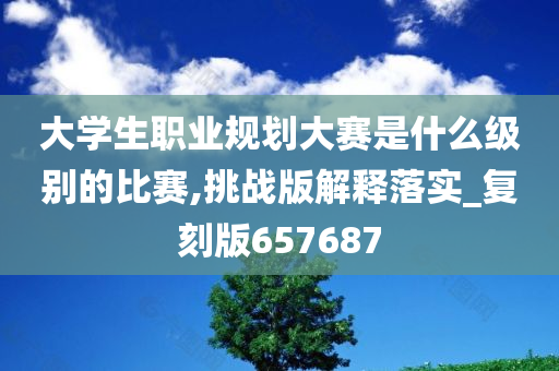 大学生职业规划大赛是什么级别的比赛,挑战版解释落实_复刻版657687