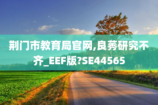 荆门市教育局官网,良莠研究不齐_EEF版?SE44565