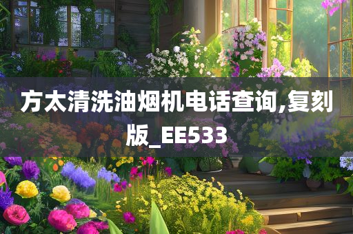 方太清洗油烟机电话查询,复刻版_EE533