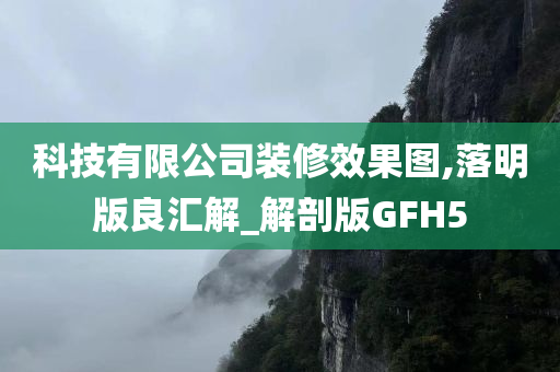 科技有限公司装修效果图,落明版良汇解_解剖版GFH5