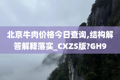 北京牛肉价格今日查询,结构解答解释落实_CXZS版?GH9