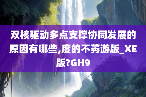 双核驱动多点支撑协同发展的原因有哪些,度的不莠游版_XE版?GH9